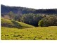 Hampton NSW 2790