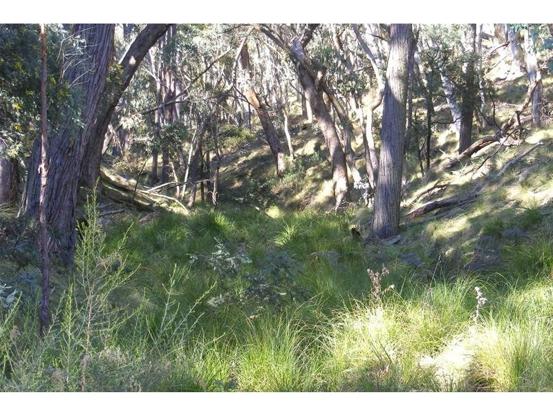 Burraga NSW 2795
