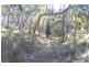 Burraga NSW 2795