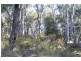 Burraga NSW 2795