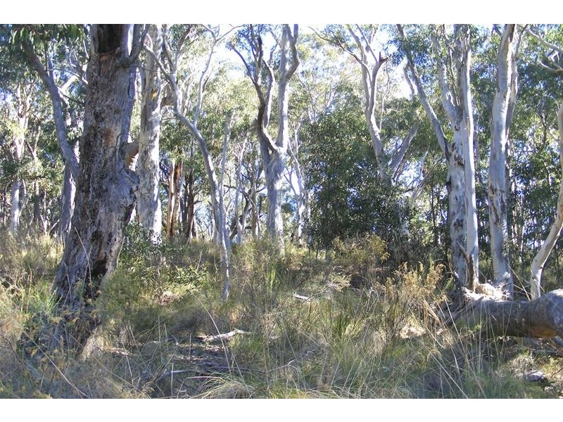 Burraga NSW 2795