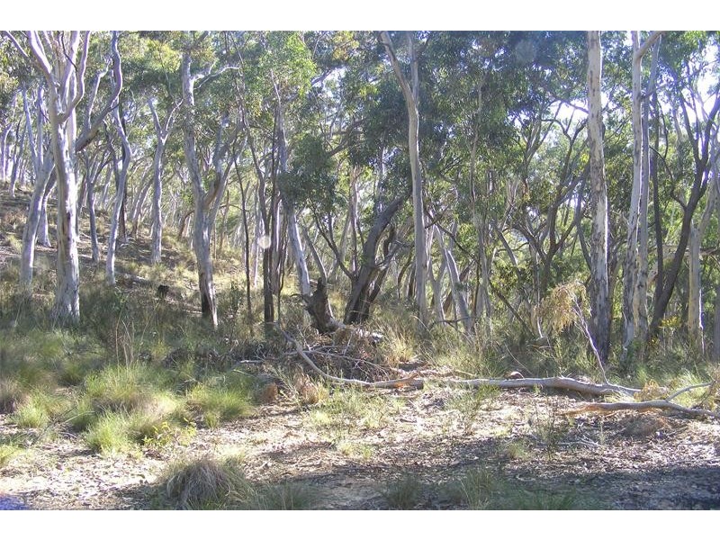 Burraga NSW 2795