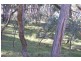 Burraga NSW 2795
