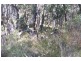 Burraga NSW 2795