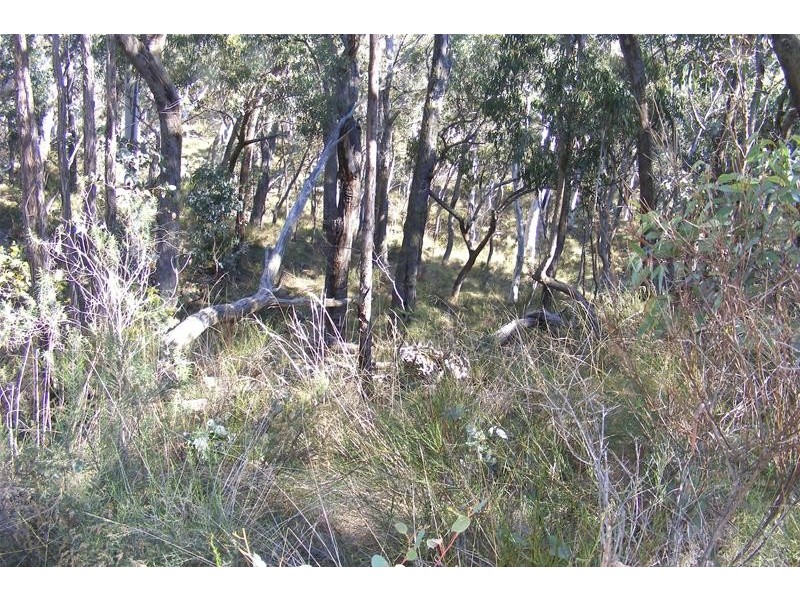 Burraga NSW 2795