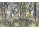 Burraga NSW 2795