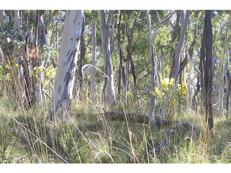 Burraga NSW 2795