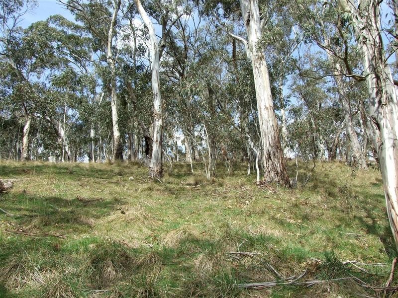 Oberon NSW 2787