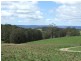 Hampton NSW 2790