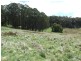 Hampton NSW 2790