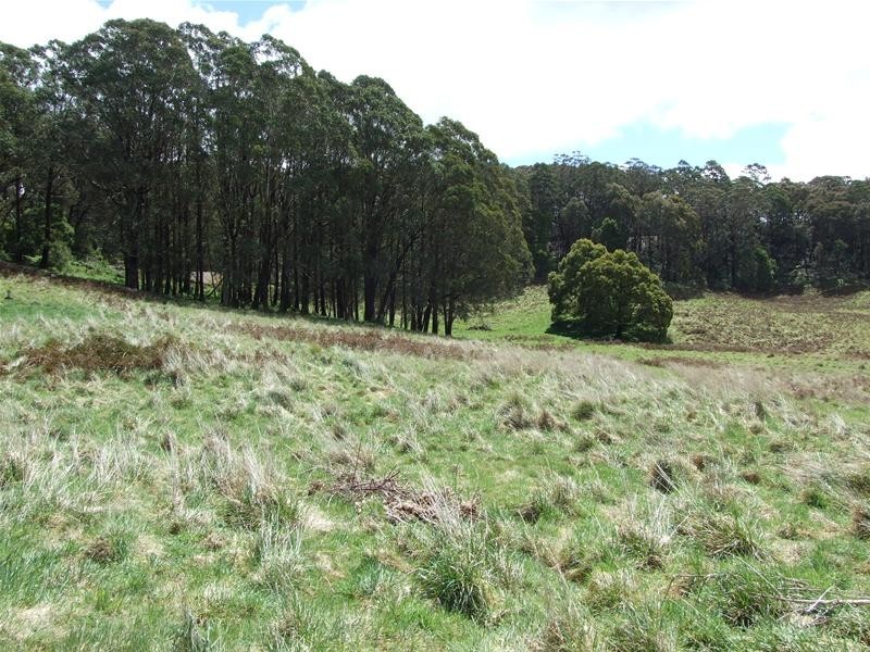 Hampton NSW 2790
