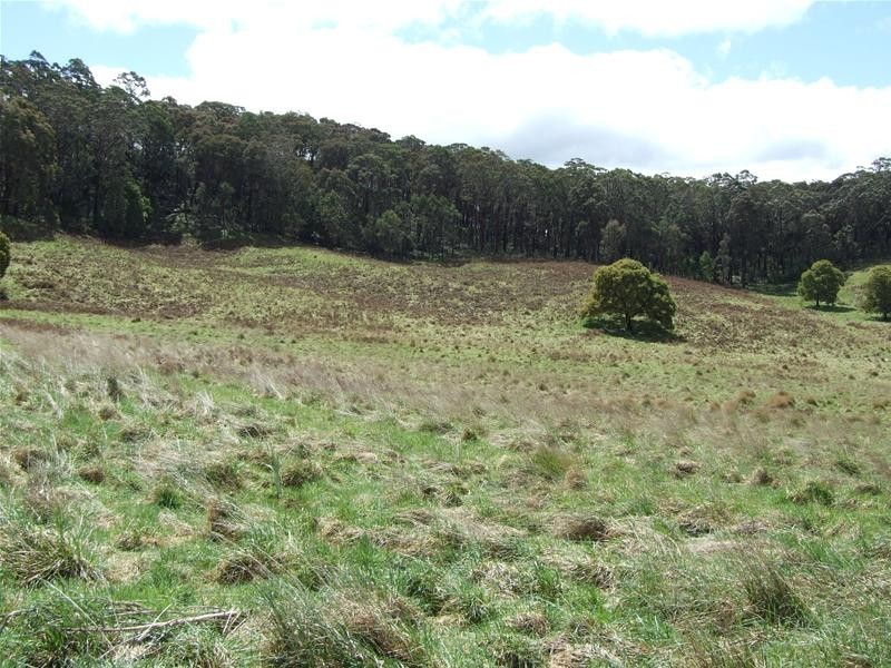 Hampton NSW 2790