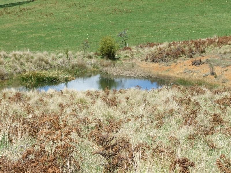 Hampton NSW 2790