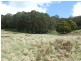 Hampton NSW 2790