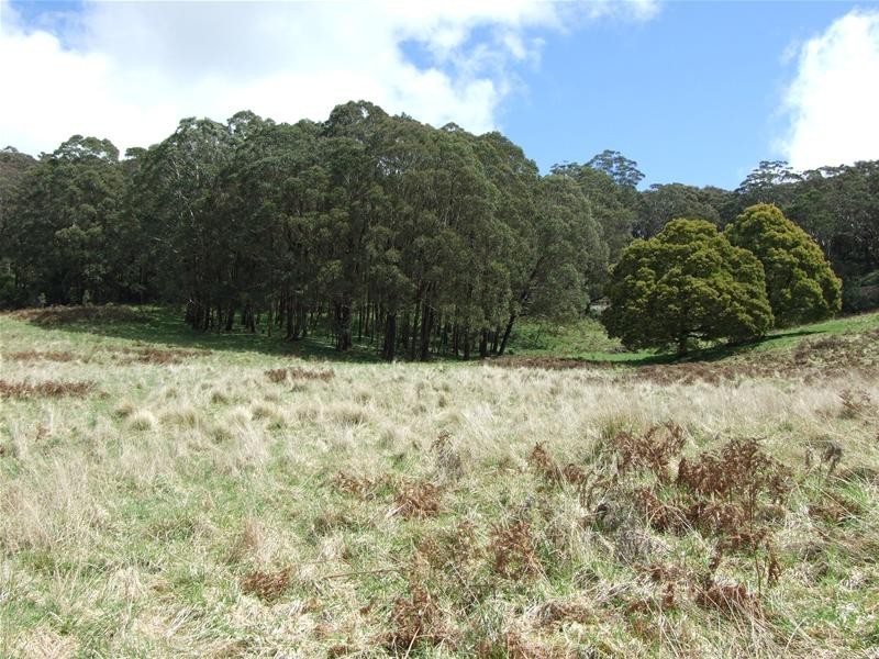 Hampton NSW 2790