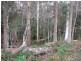 Oberon NSW 2787