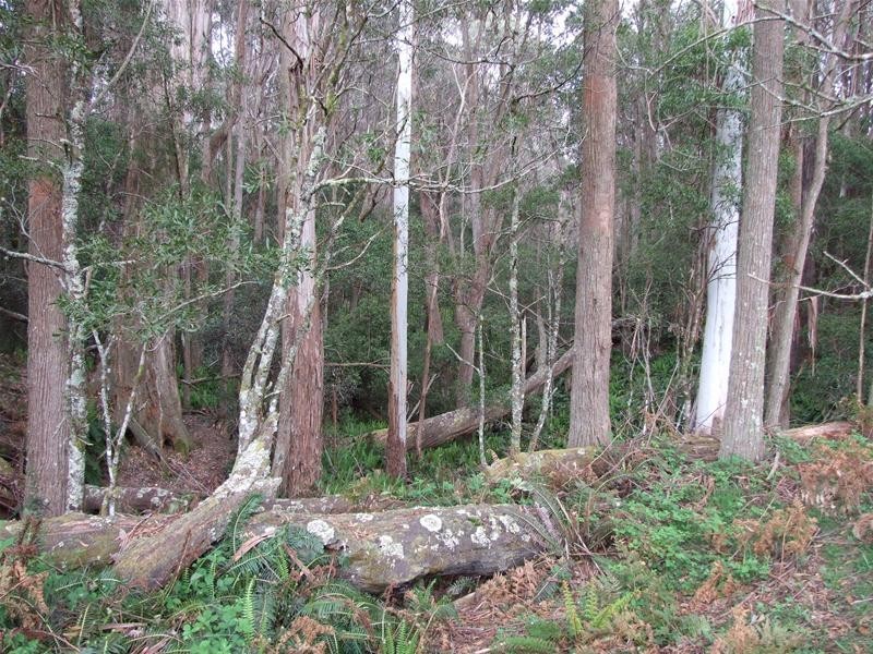 Oberon NSW 2787