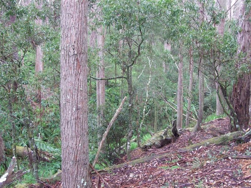 Oberon NSW 2787