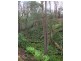 Oberon NSW 2787