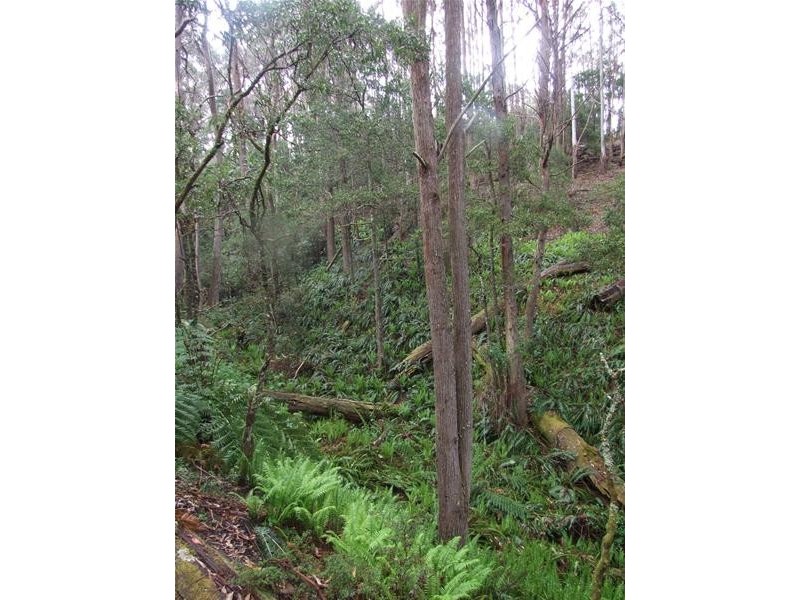 Oberon NSW 2787