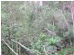 Oberon NSW 2787