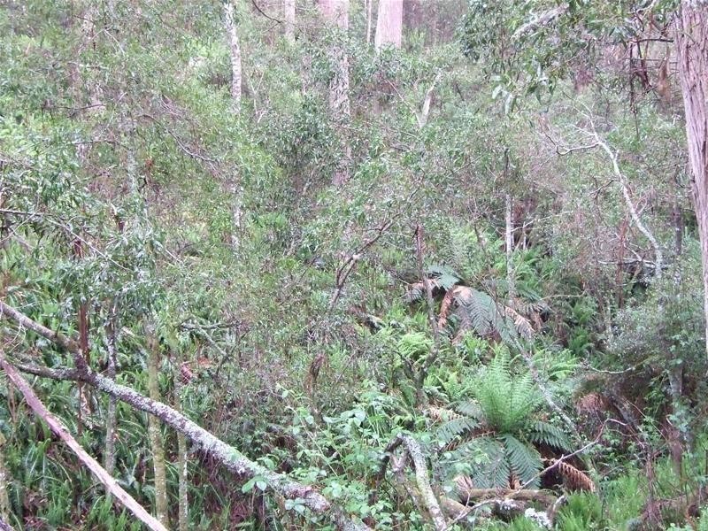 Oberon NSW 2787