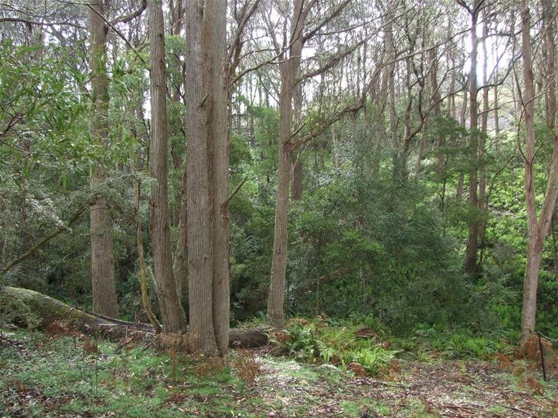 Oberon NSW 2787