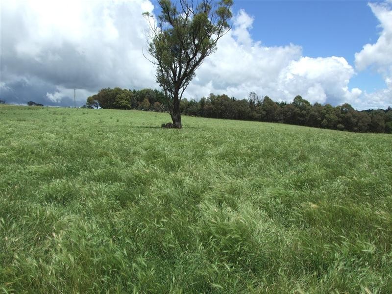 Oberon NSW 2787