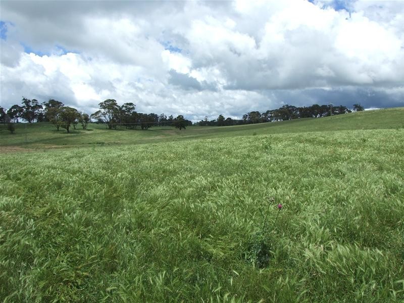 Oberon NSW 2787