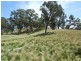 Oberon NSW 2787