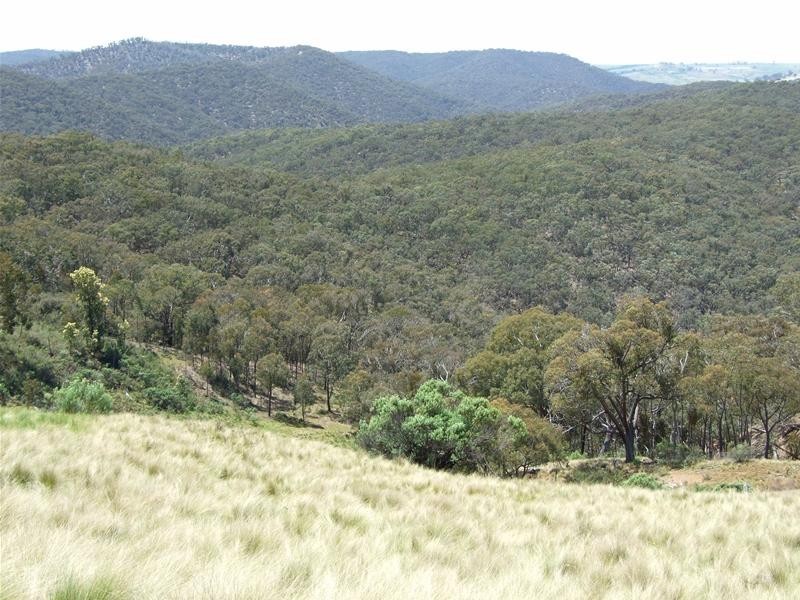 Oberon NSW 2787