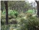Oberon NSW 2787
