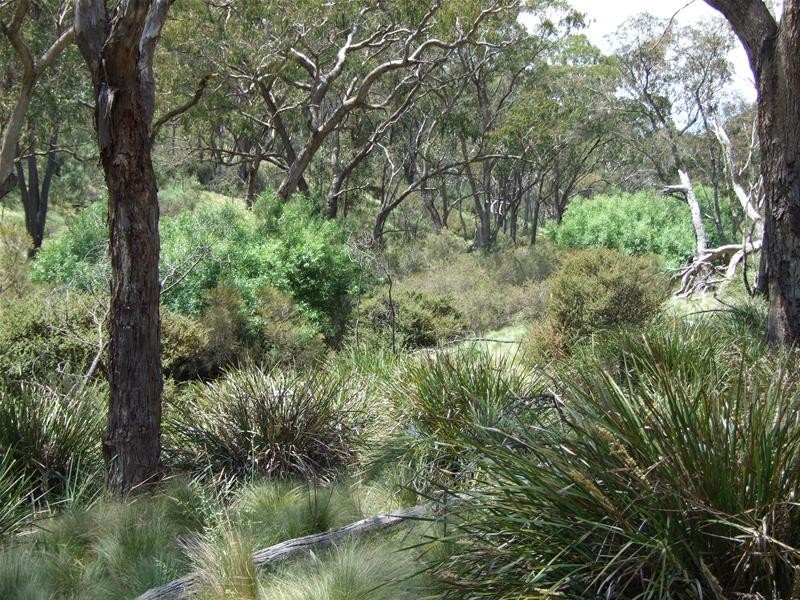 Oberon NSW 2787