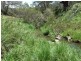 Oberon NSW 2787