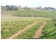 Oberon NSW 2787