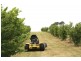 Oberon NSW 2787