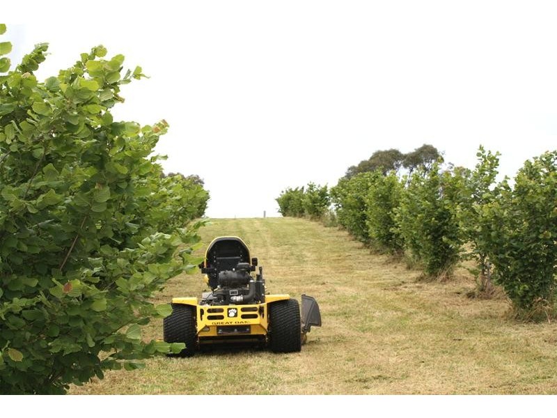 Oberon NSW 2787