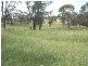 O’connell NSW 2795