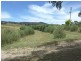 O’connell NSW 2795