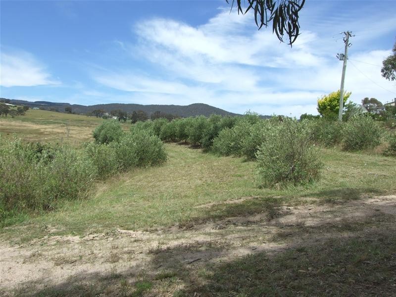 O’connell NSW 2795