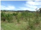 O’connell NSW 2795