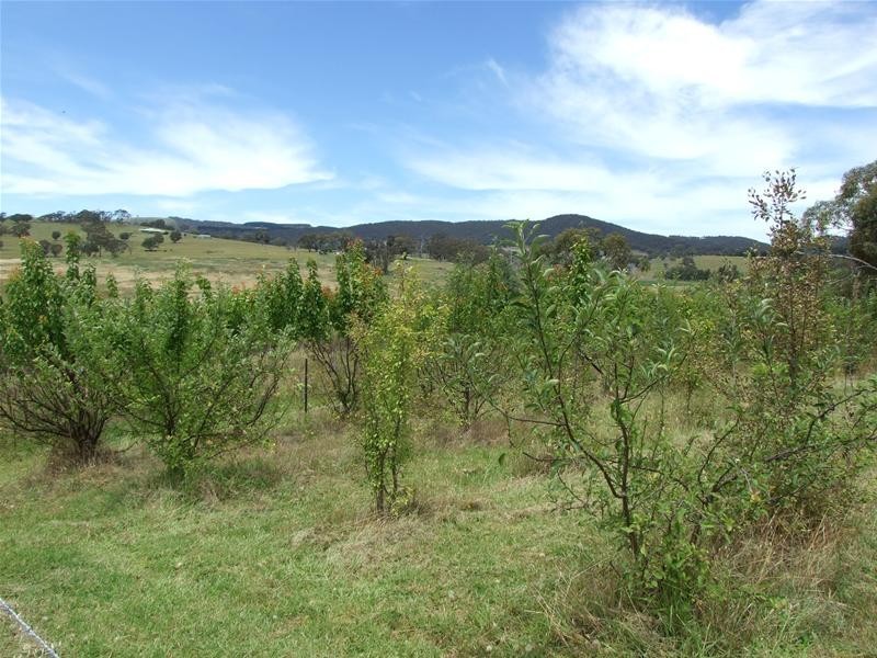O’connell NSW 2795