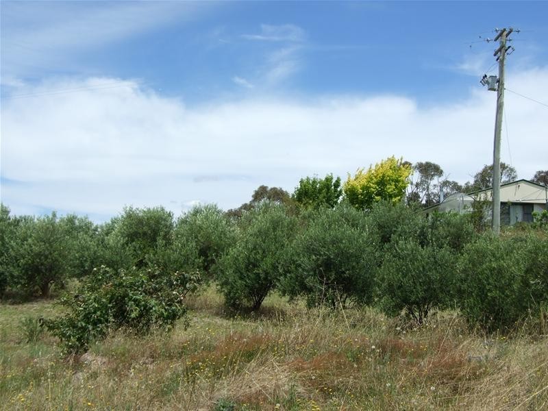 O’connell NSW 2795
