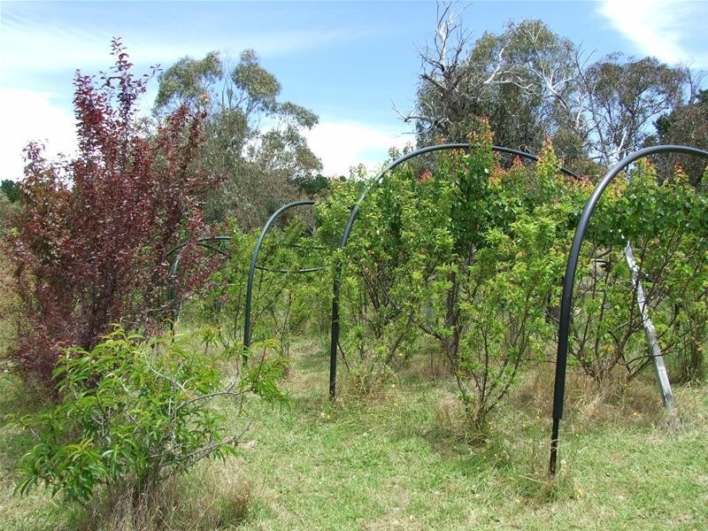 O’connell NSW 2795