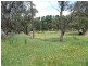 O’connell NSW 2795