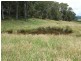 Oberon NSW 2787