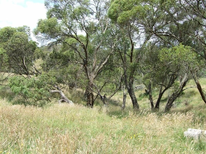 Oberon NSW 2787