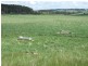 Oberon NSW 2787