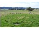 Oberon NSW 2787
