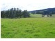 Oberon NSW 2787